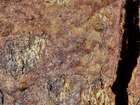 Habitus